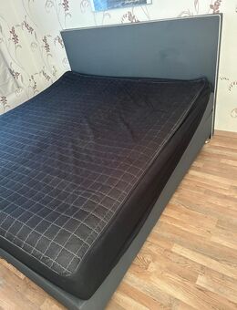 Boxspringbett King Size - Münsingen