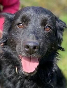 CIGY sucht Familienanschluss - Gefrees