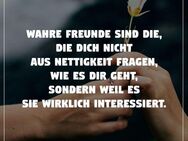 Freundschaft zwischen Mann und Frau!!! - Kühlungsborn