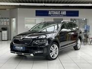 Skoda Octavia 2.0TDI DSG Scout 4x4 Navi Kamera BiXenon - Braunschweig