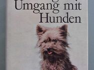 Dangerfield: Vom richtigen Umgang mit Hunden (1965) - Münster