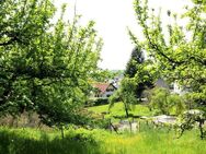 Grundstück mit Altbestand in Hang/Waldrandlage für Naturliebhaber in Altenstadt/Iller - Altenstadt (Regierungsbezirk Schwaben)