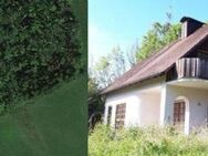 WOCHENENDHAUS auf der GRÜNEN WIESE in ABSOLUTER ALLEINLAGE mit FERNSICHT - Buttenheim