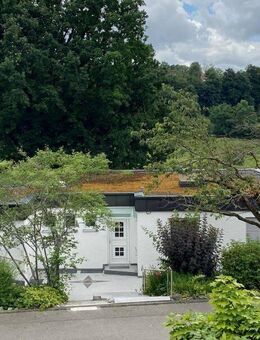 Freundliches, helles Einfamilienhaus in sonniger Halbhöhenlage mit schön angelegtem Garten und Sauna, freie Sicht, Südlage - Biberach (Riß)