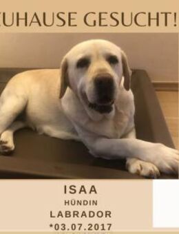 Isaa sucht ihr Zuhause fürs Leben - Lippetal