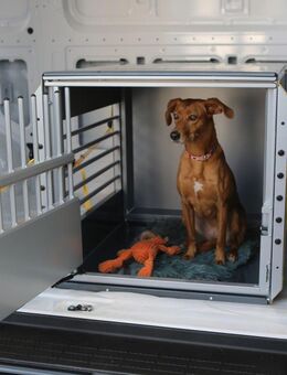Ford Kleinmetall Hundebox MultiCage Einzelbox *Borgmann* - Krefeld