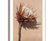 Reinders! Poster Protea Blume