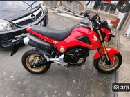 Honda msx 125 top Zustand - Bad Sassendorf