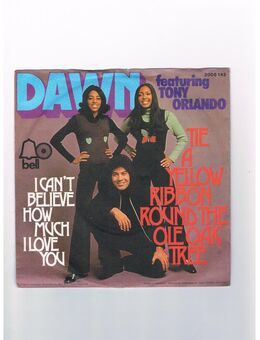 Dawn-Tie a Yellow Ribbon Round the Ole Oak Tree-I can´t believe how much I Love you-Vinyl-SL,1973 - Linnich