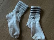 Getragene Sportsocken - Siegburg