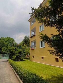 Aktuelle Renovierung einer schönen 2-Raum-Wohnung in Dresden-Cotta! - Dresden
