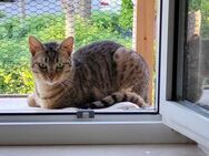 Nette Rina sucht ihre Familie - Margetshöchheim