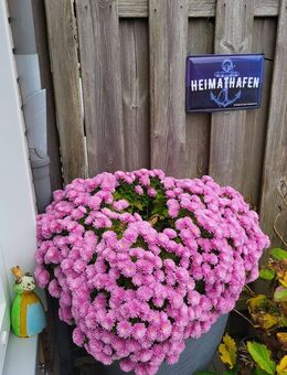 Neuwertiges/exklusives Reihenhaus in Emden Wolthusen - Emden