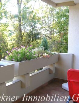 Sehr schöne 3-Zimmer Wohnung in ruhiger Südlage SB-Rotenbühl/Heidenkopferdell - Saarbrücken