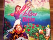 Die Schöne und das Biest Walt Disney Schneider Buch ISBN 3-505-04745-7 - Blankenburg (Harz)