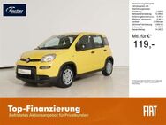 Fiat Panda, 1.0 GSE Hybrid, Jahr 2024 - Pilsach