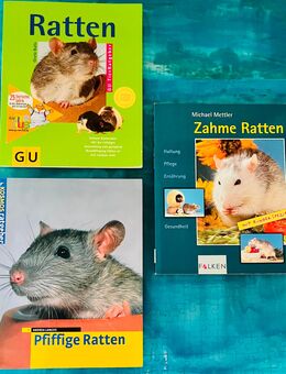 Fachbücher Ratten 3 Stück - Dorfen