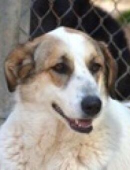 Alma Bellas, die Positive :-) - Mettmann