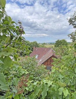 Verwirklichung auf 4 Ebenen mit Leineblick, unweit der Marienburg - ZFH mit Doppelgarage, 3 Terrassen & Garten - Nordstemmen