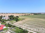 Bauland mit Ackeranteil (ca. 2,3 ha) bei Gramzow - ideal für Ihr neues Haus und Pferd - Zichow