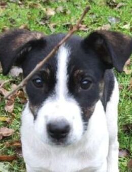 Baby LILI sucht Körchen - Gefrees