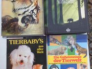 Tiere Tierwelt Vögel Zwergkaninchen Katzen Schafe Bücher zus. 4,- - Flensburg