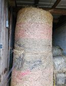 Heu rubdballen verschiedene grösen in 99084