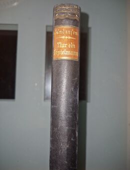 Hans Christian Andersen – Nur ein Spielmann (antikes Buch) - Hamm