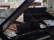 Bechstein B Bj.1924 - Wuppertal