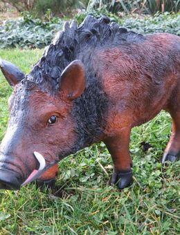 Dekofigur Wildschwein mittelgroß stehend Gartendeko - Hergisdorf