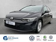 VW Golf Variant, 2.0 TDI Golf VIII Life, Jahr 2022 - Meppen