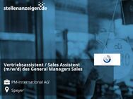 Vertriebsassistent / Sales Assistent (m/w/d) des General Managers Sales - Speyer