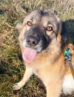 ❤️Flotter Rem sucht Spaß&Liebe❤️ - Eislingen (Fils)