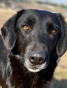 Africa, geb. ca. 01/2019 Griechenland - Euskirchen