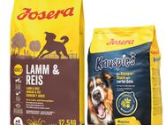Josera Kombi-Paket: 12,5 kg Adult Trockenfutter + 3 x 900 g Knuspersnacks - Lamm & Reis 12,5 kg + Knuspies 3 x 900 g