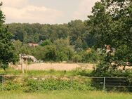 Warum nicht in Pirna-Copitz bauen ... - Pirna