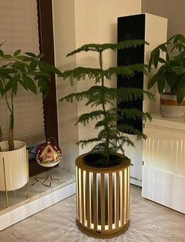 Handmade Blumentopf aus Eichenlamellen quadratisch 2in1 LED Beleuchtung 33cm Pflanzen - Wuppertal