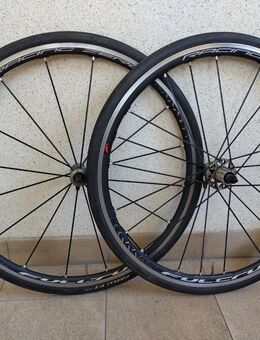 Laufradsatz Fulcrum Racing Zero Shimano 9/10/11-Fach Clincher Ceramic - Hannover Linden-Limmer