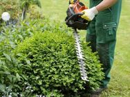 Gartenpflege Gartenarbeit Gärtner Heckenschnitt Baumschnitt Baumfällung Entsorgung Garten- Landschaftsbau Firma BROYAN Baumanagement Gartenservice - Göttingen