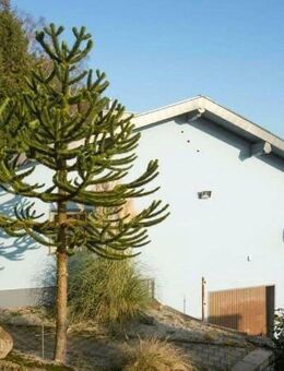 Einfamilienhaus mit Wintergarten auf schönem Grundstück - Bexbach