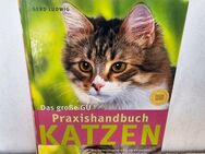 Das große Praxishandbuch – Katzen ✨ Ernährung ✨ Pflege ✨ Gesundheit ✨ Buch - Kiel Mettenhof