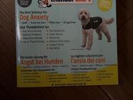 Thunder Hundeshirt - Schechen