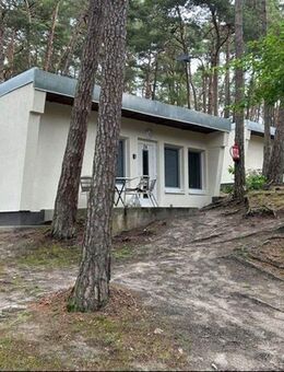 Ihr kleines Stück vom Paradies - Trassenheide
