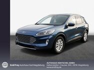 Ford Kuga 1.5 EcoBlue Aut. TITANIUM X - Magdeburg