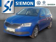 Skoda Fabia, 1.0 MPI Cool Plus, Jahr 2019 - Emsdetten