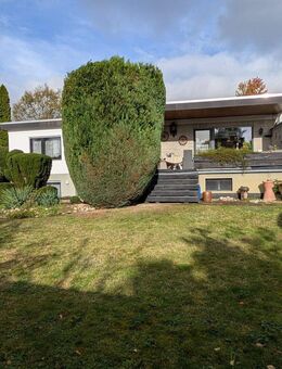 Gepflegtes Wohhaus - Petershagen