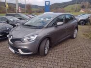 Renault Scenic Life ENERGY TCe 115 - Stegen