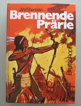 J.W. Sheridan: Brennende Prärie (1972) - Münster