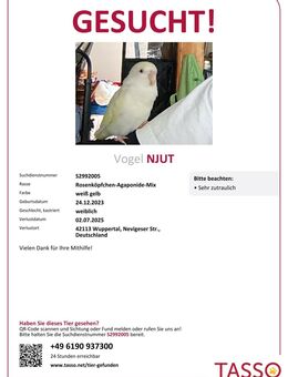 100 Euro Finderlohn!VOGEL-entflogen-01.07.25 - Wuppertal