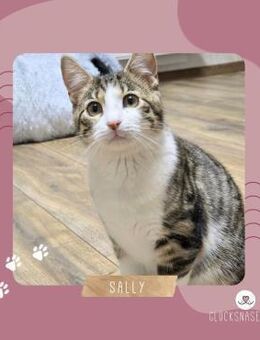 Katze Sally hat ihren Koffer gepackt - Lalendorf